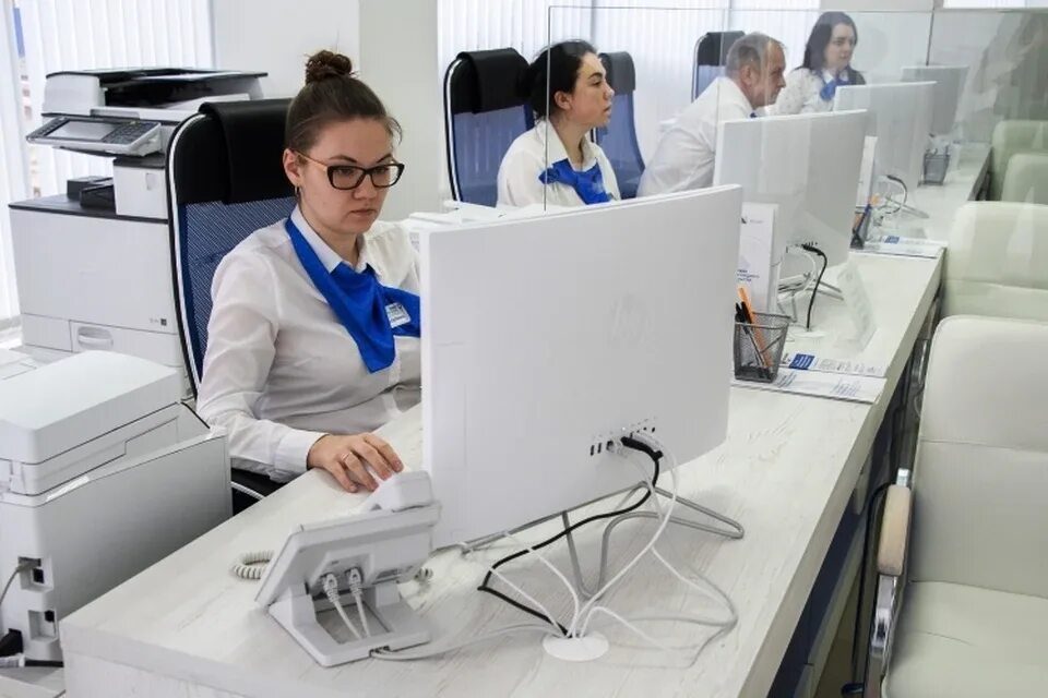 Ризо севастополь. Министр образования севастополя. Образование севастополя. Ризо севастополь. Департамент культуры города севастополя.