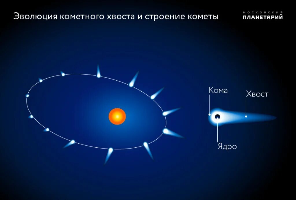 Почему у кометы хвост. Движение кометы вокруг солнца. Комета около солнца. Строение хвоста кометы. Схема движения комет.