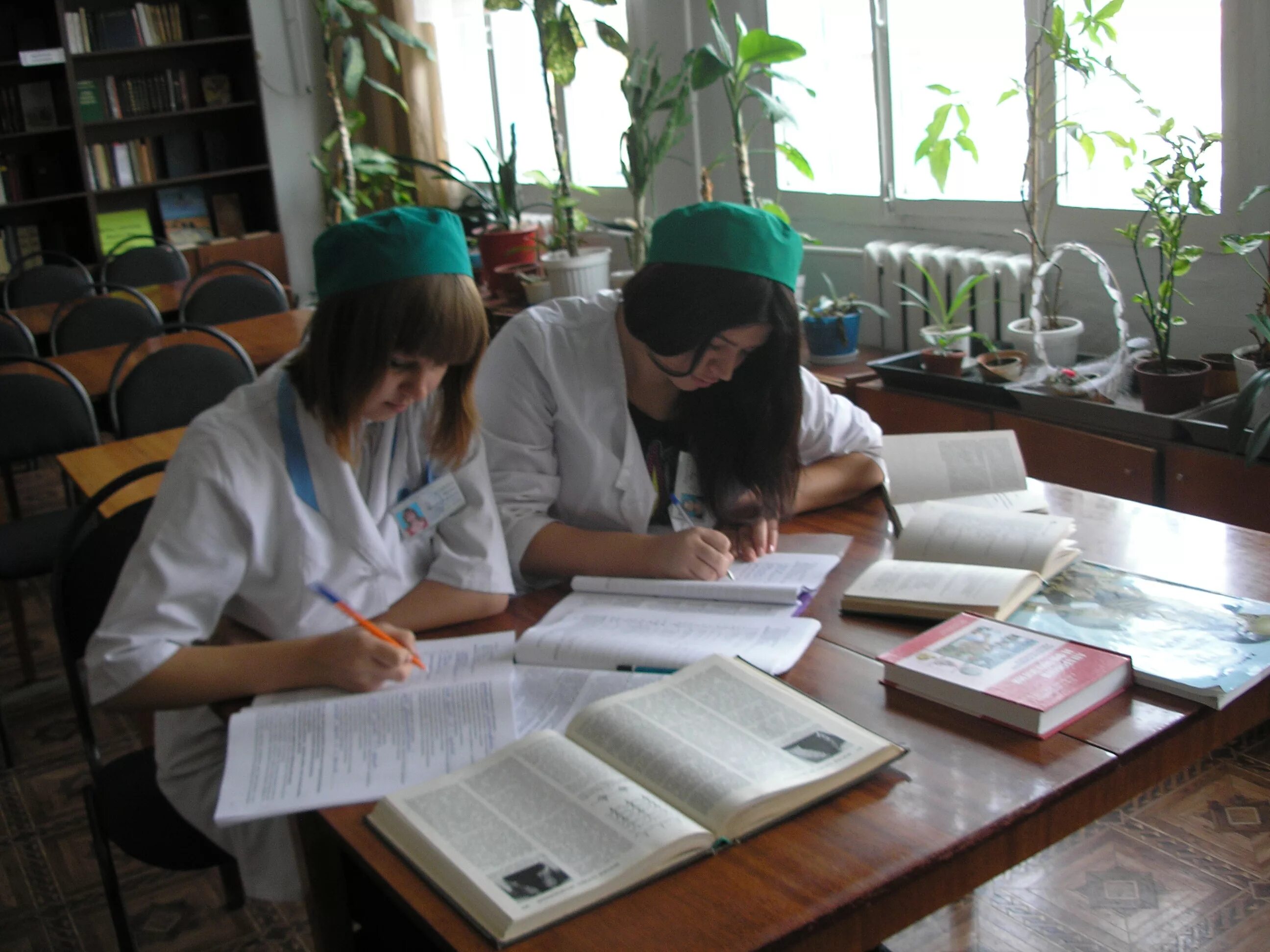 колледж консультант