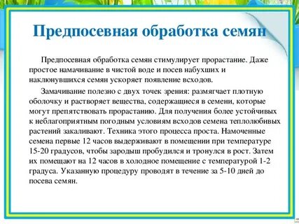 Дезинфекция семян
