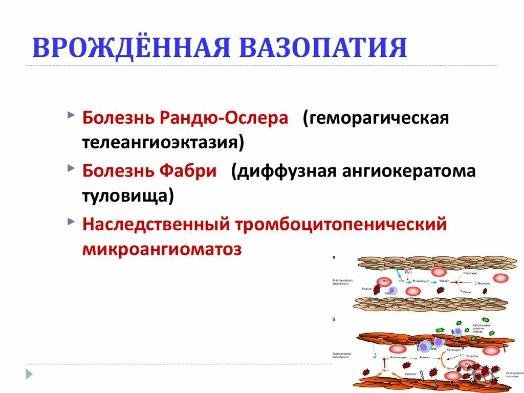 Патофизиология гемостаза