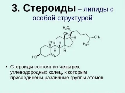 Стероиды относятся к липидам