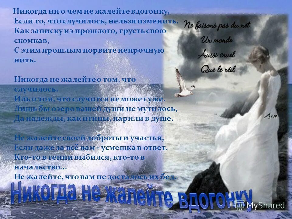 Никогда не о чем жалейте вдогонку стихотворение. Никогда ни о чем не жалейте вдогонку. Никогда ни о чём не жалейте стих.