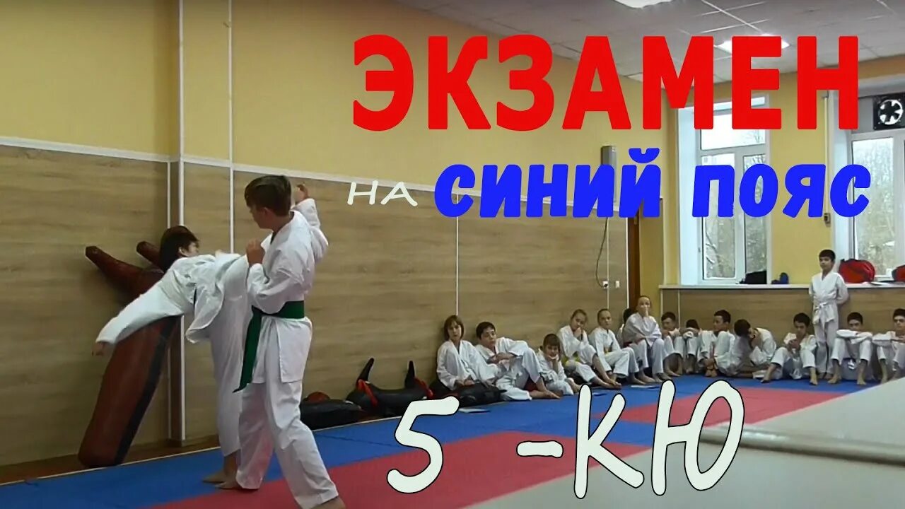 Аттестация на оранжевый пояс киокушинкай. Зелёный пояс по карате шокотан. Каратэ шелехов. Экзамен на белый пояс по карате. Карате экзамены.