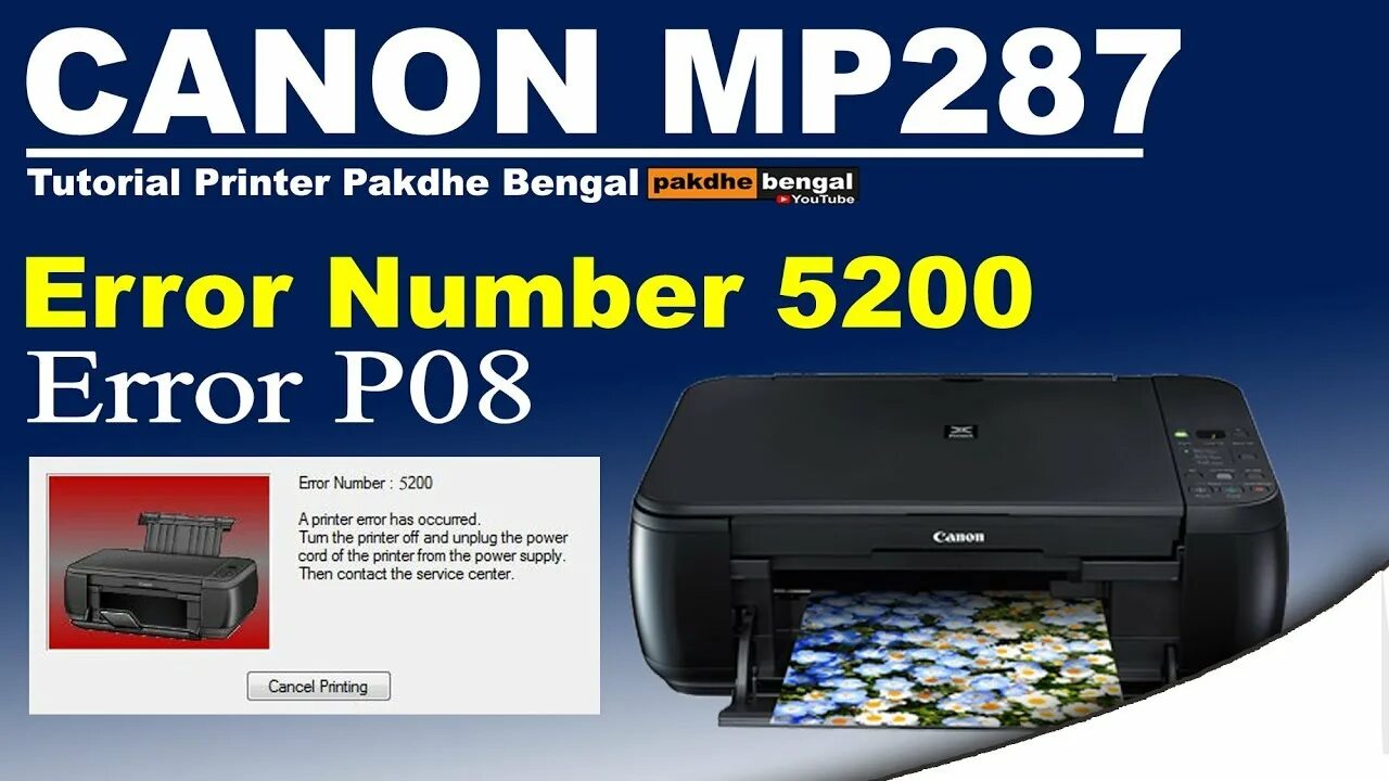 Canon 5200 принтер. Ошибка p08 на принтере Canon. Ошибка принтера 5200. Ошибка 5200 в принтере Canon. Canon g2415 ошибка p07