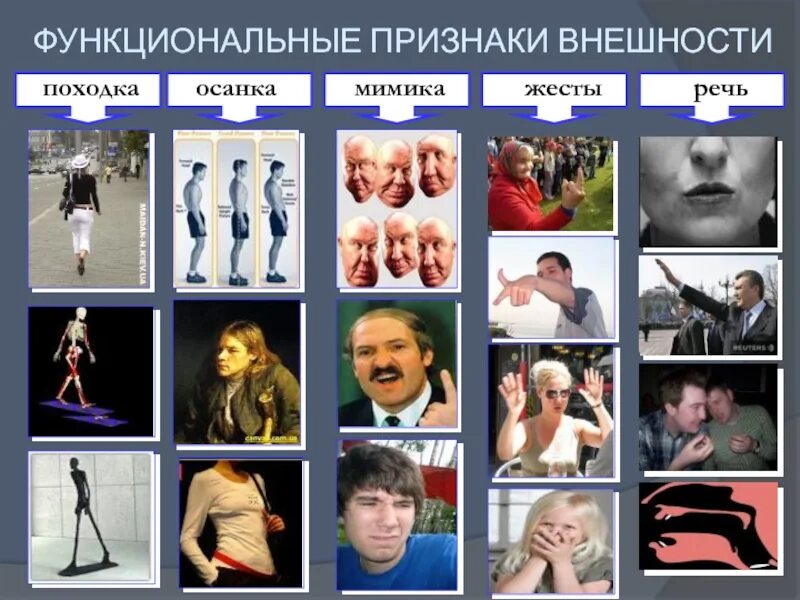 Изменение человека внешне как называется. Изменение человека внешне как называется
