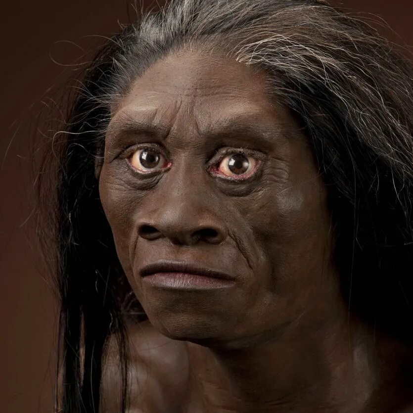 Prehistoric teeth found in China may point to mysterious new human species Human