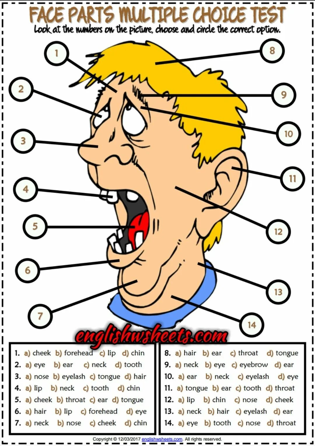 Лоб на английском. Face Parts Vocabulary. Голова на английском. Face Vocabulary for Kids. Face Parts exercises for Kids.