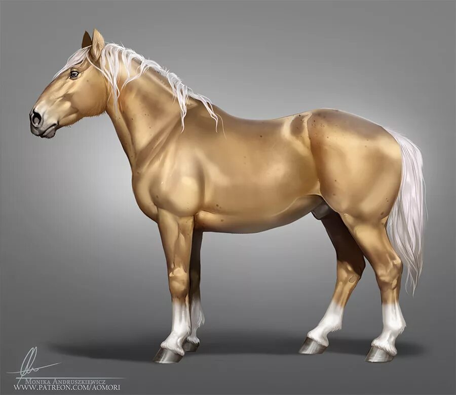 Monika Andruszkiewicz лошади. Лошад Золотый. Лошадь золотистого цвета.