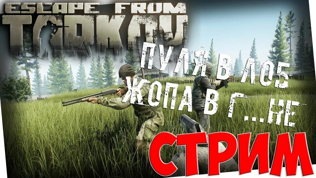 Стрим часть 3 тарков. Тарков стрим. Превью для Таркова. Превью Тарков стрим. Escape from Tarkov стрим.