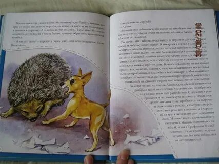 Пришвин лимон