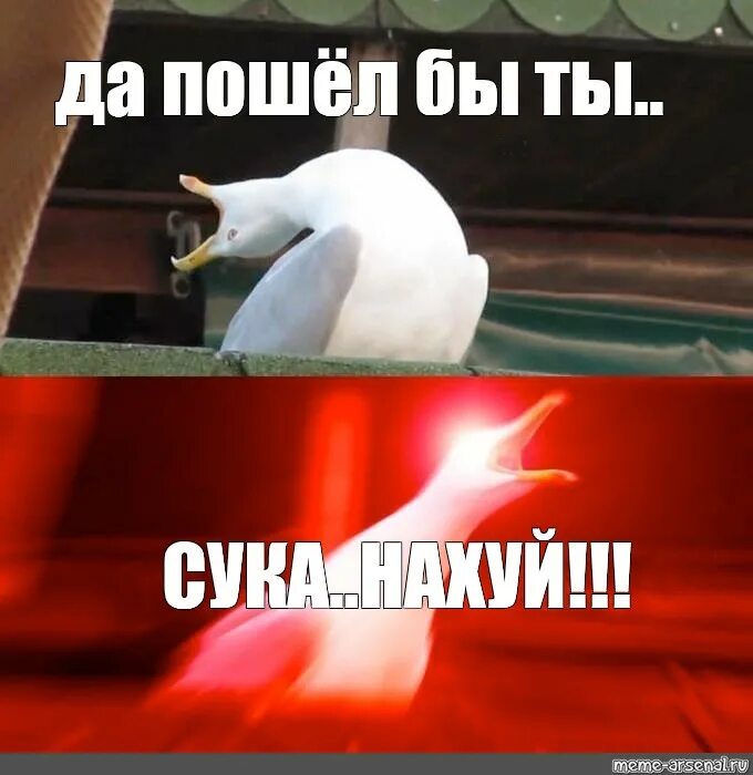 Срок пошел