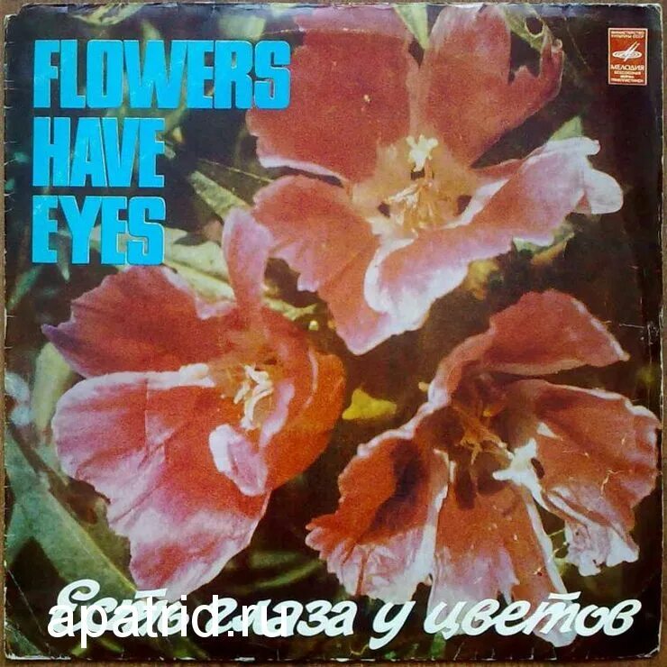 «есть глаза у цветов» виа цветы. цветок с глазами как он что то ест. расул расулович гамзатов. виа орэра обложка. песни есть глаза у цветов.