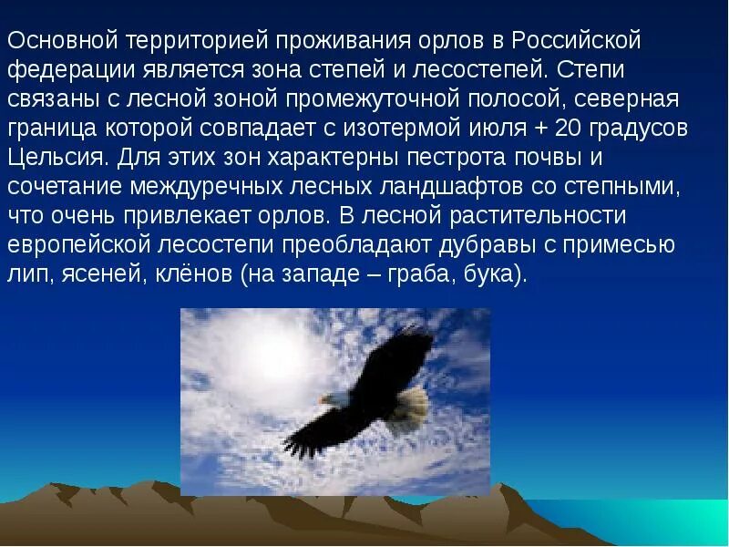 Текст про орла. Орел презентация. Презентация на тему Орел. Информация о Орле. Степной Орел презентация.