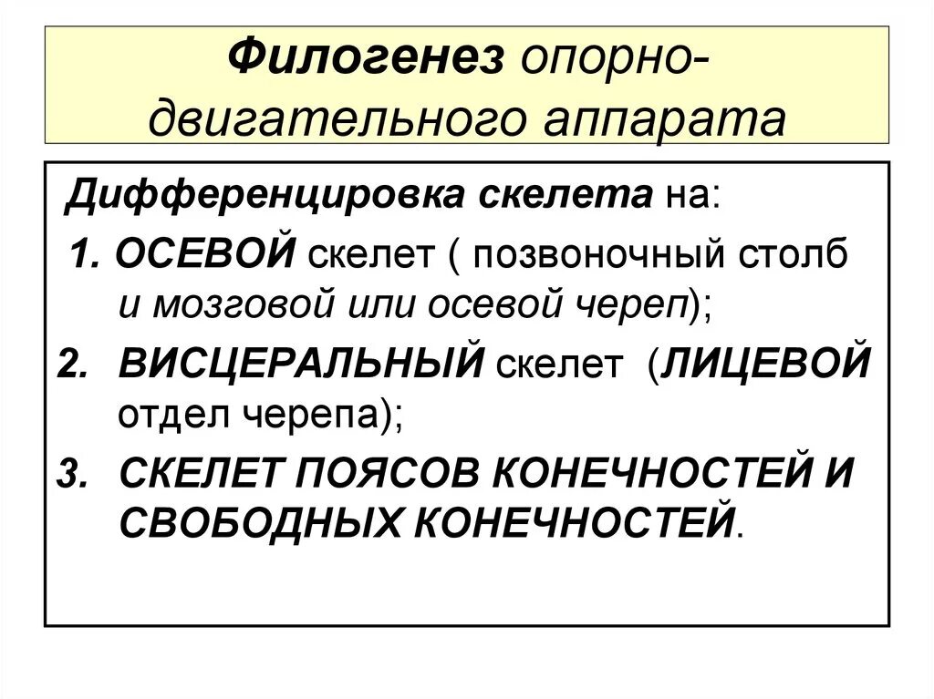 1 филогенез. Филогенез опорно-двигательного аппарата. Филогенез опорно двигательной системы. Эволюция развития опорно-двигательного аппарата. Филогенез опорно двигательной системы хордовых.