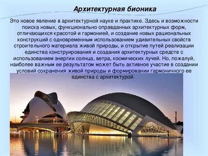 Что такое бионика в биологии 8 класс