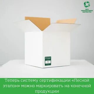 Лесной эталон
