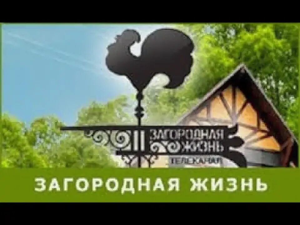 Канал загородная жизнь с нуля. Логотип телеканала Загородная жизнь. Ведущие телеканала Загородная жизнь. Канал Загородная жизнь. Загородная жизнь программа.