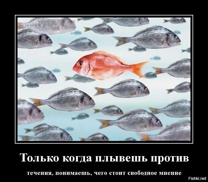 Плыви по течению. Картинка на аватарку для мужчин со смыслом про жизнь. Человек плывет против течения. Что такое течение тягун в море. Поплыть понять.