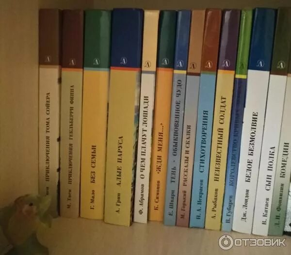 Издательства школьной литературы. Издательства школьной литературы. Издательство школьная библиотека. Библиотека школьника книги. Школьная библиотека детская литература.