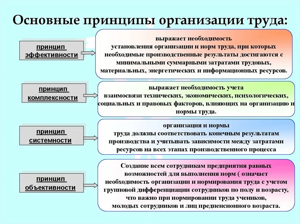 Основной принцип организации содержания. К общим принципам организации труда относятся:. Общие принципы организации труда. Принципы организации труда на предприятии. Принципы установления норм труда.