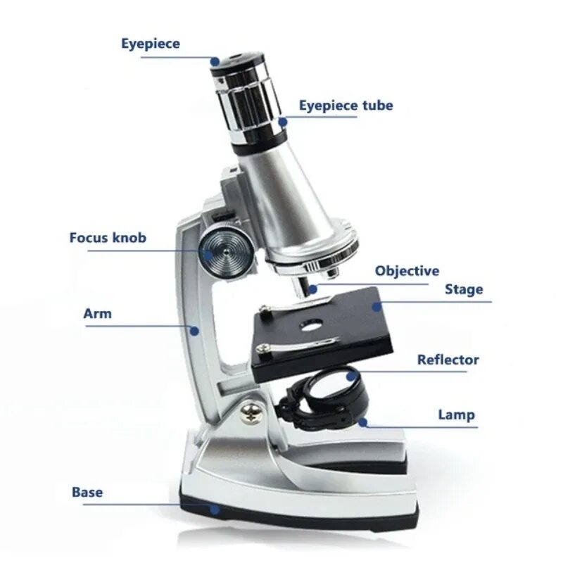 Тубус цифрового микроскопа. Микроскоп увеличение 1200. Монокулярный микроскоп с подсветкой Тип. Что такое тубус в микроскопе 5 класс. Тубус микроскопа.