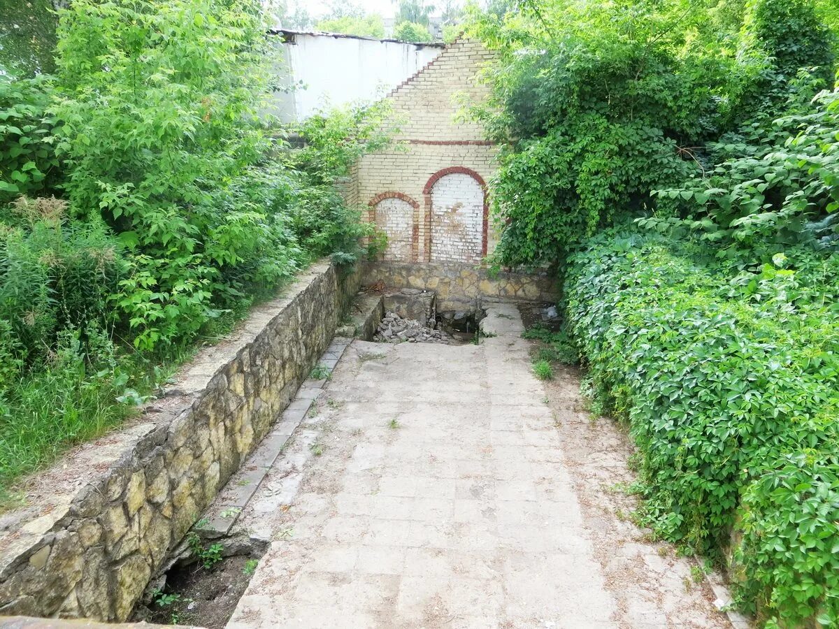 родник на поляне. родник матвеевский район. овражная улица пенза. нижняя уратьма нижнекамский район. родник киржач.