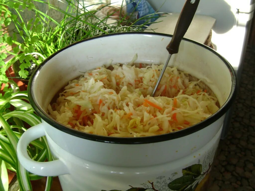Капуста на зиму в кастрюле хрустящая. Капуста квашеная. квашенная капуста в ведре. квашеная капуста на зиму в ведре. капуста квашеная в кастрюле.