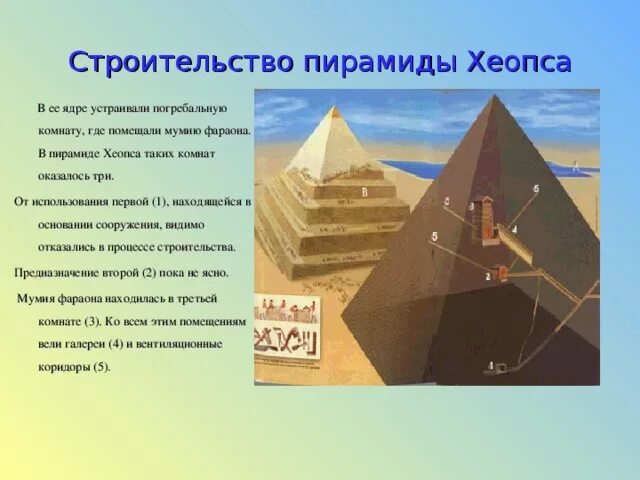 Пирамида хеопса впр 5 класс ответы. Строительство пирамиды фараона Хеопса. Два исторических факта о строительстве пирамиды Хеопса. Процесс строения пирамиды Хеопса. 2 Факта о пирамиде Хеопса.