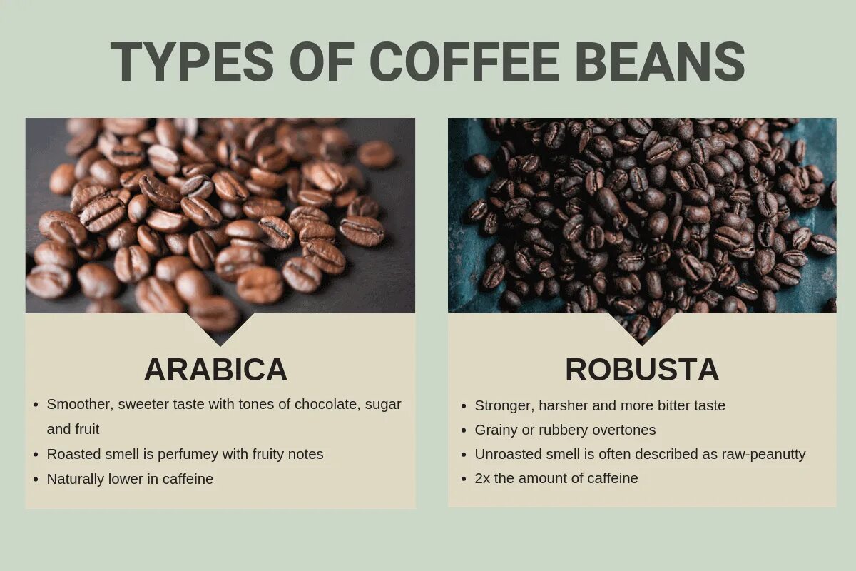 Required a bean of type