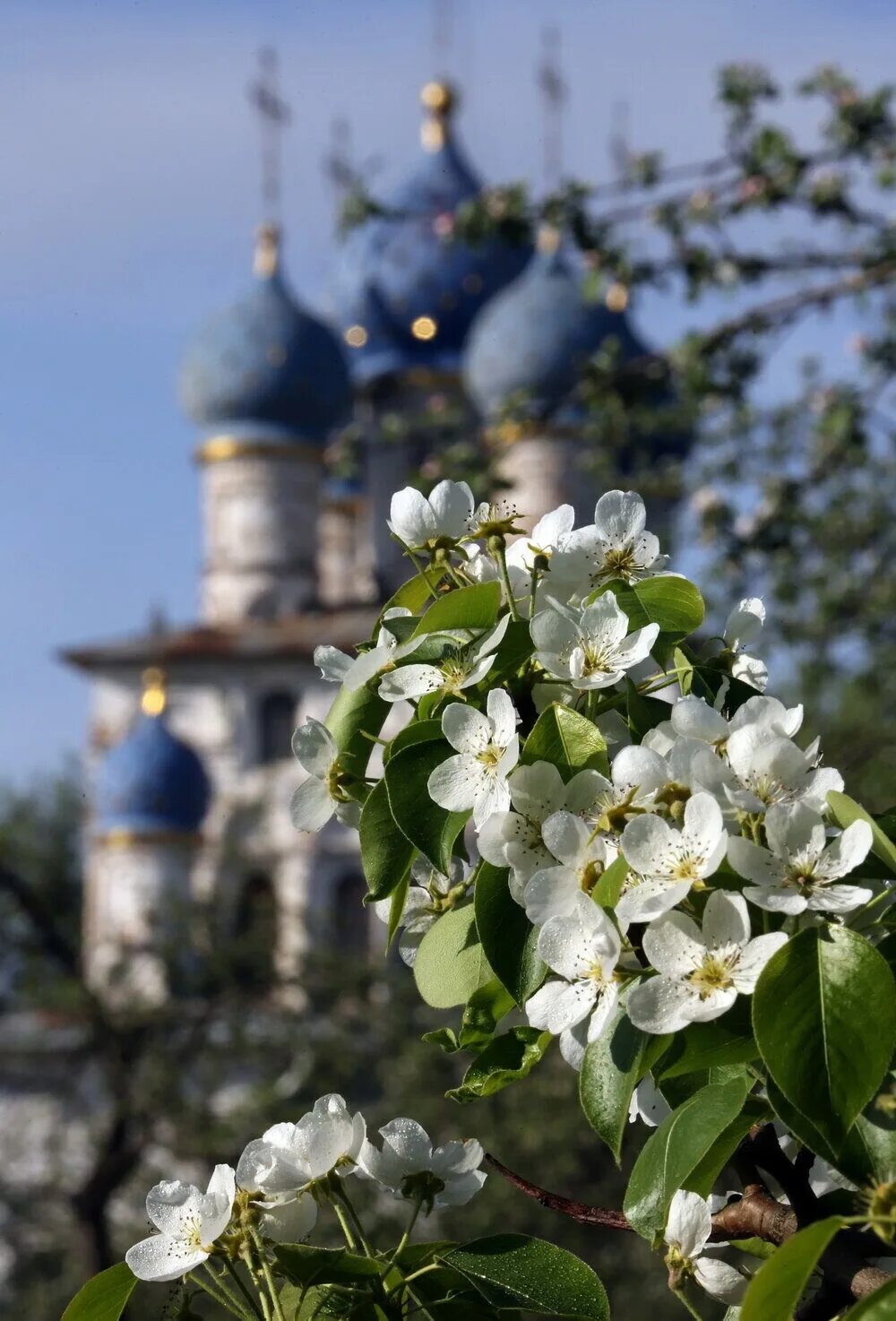 Доброе утро картинки православные весенние. Церковь весной. Православный храм весной.