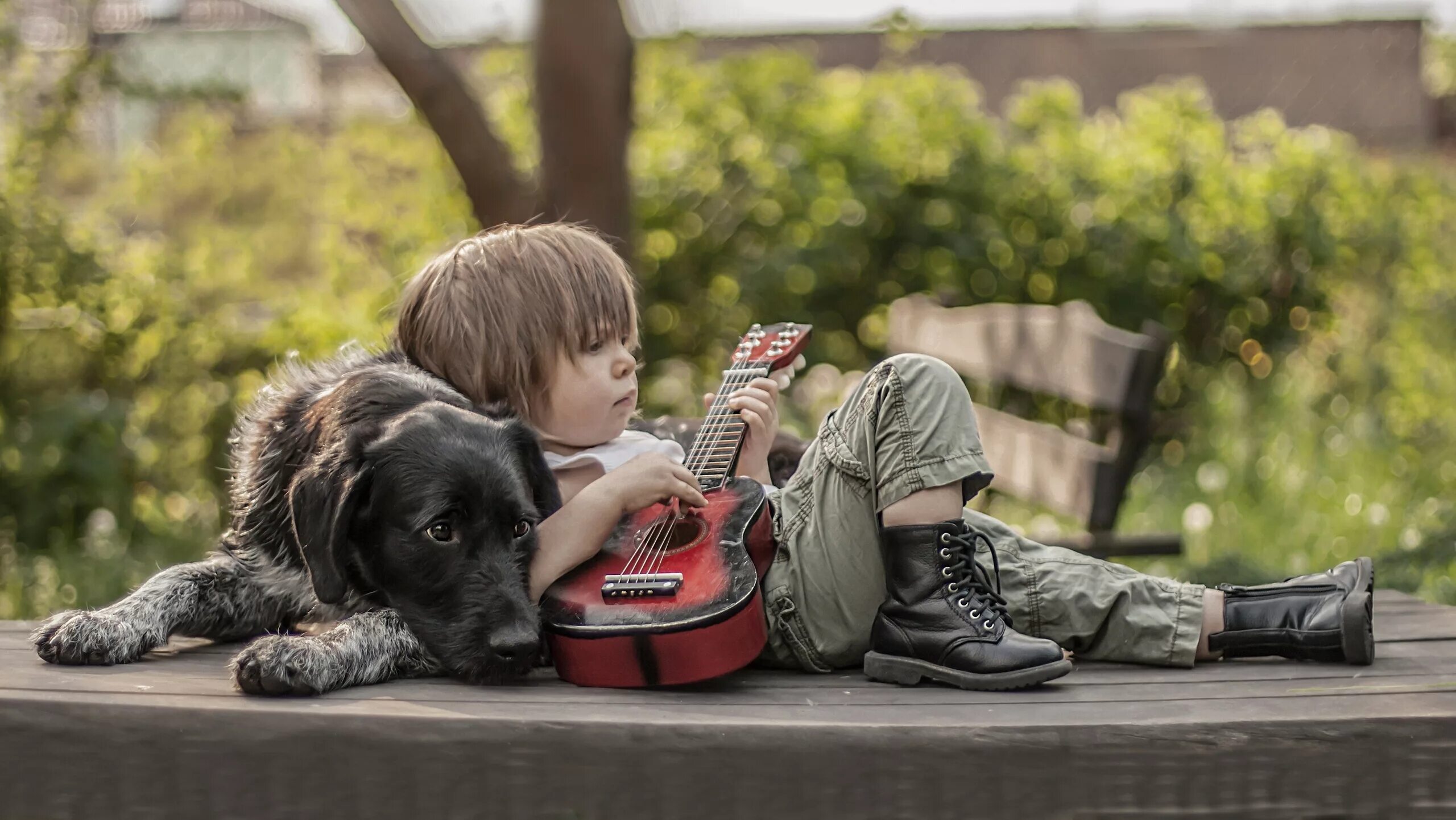 Мальчик играющий с собакой. Мальчик с собакой. Собака для детей. Мальчик с гитарой. Гитара для детей.