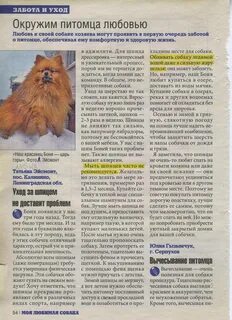 Что нужно для шпица