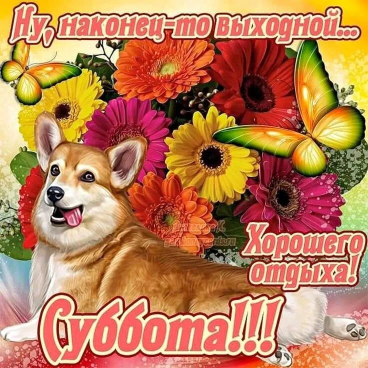 Доброго утра хорошего выходного дня картинки. Поздравление с субботой. хорошей субботы и отличного настроения. открытки с субботой. удачной субботы и хорошего настроения.