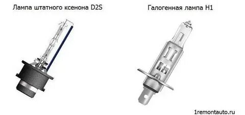 Лампа ближнего света аккорд 7