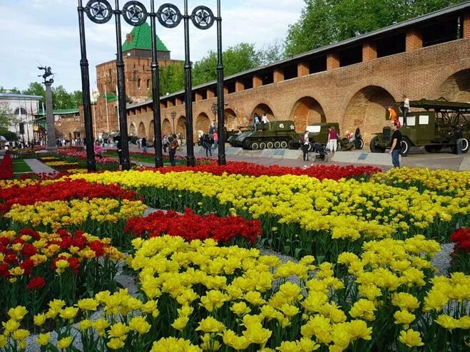 Flowers нижний новгород. Нижегородский Кремль клумбы. Нижний Новгород Кремль цветы. Цветники Нижний Новгород Кремль. Цветник в Нижегородском Кремле.