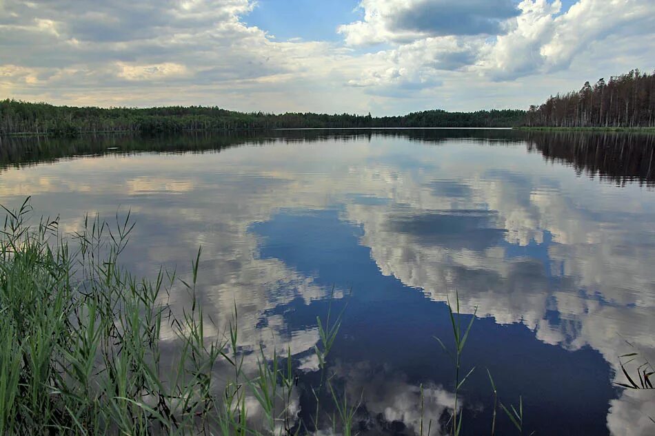 силикатное озеро нижний новгород сормовский район. кабацкое озеро в богородске. озеро ключик нижегородская область рыбалка. водоемы нижегородской. водоемы нижегородской.