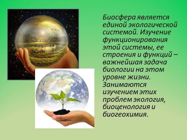 Биосферой является. Биосфера живая оболочка земли. Биосферой является. Взаимосвязь биосферы с другими оболочками земли 6 класс. Биосфера — область распространения жизни рисунок.