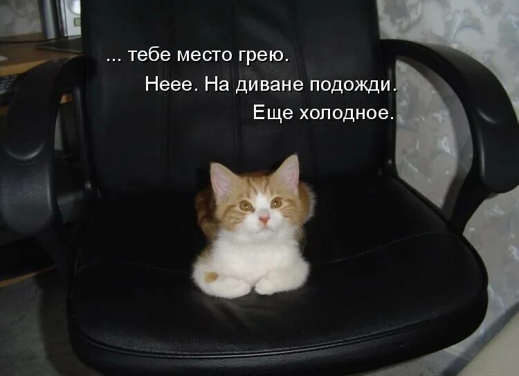 Камин влюбленные. Греть место. Уютная зима. Мужские руки греют женские. Руки у камина.
