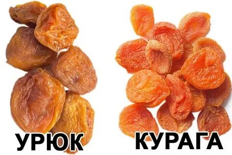 Чем отличается курага