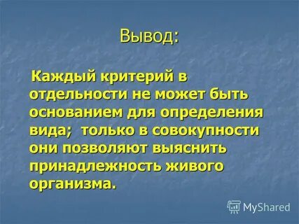 Вывод о видах услуг