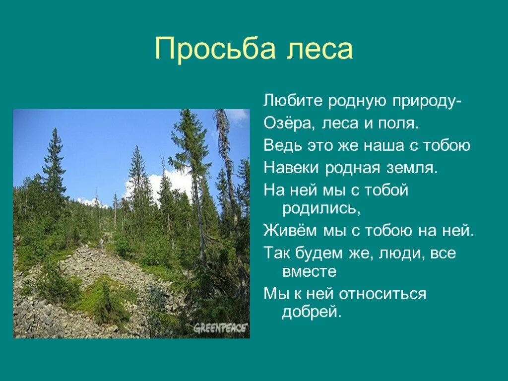 название стихов о лесе. стихи о лесах. стихотворение о красоте леса. стихотворение о лесах. стихотворение про лесс.