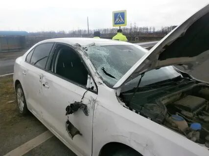 Дтп 19.01