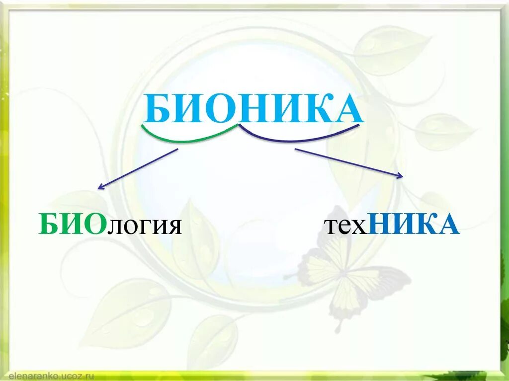 Бионика это в биологии. Бионика для дошкольников. Бионика наука. Бионика для детей примеры.