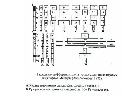 Дифференциация элементов