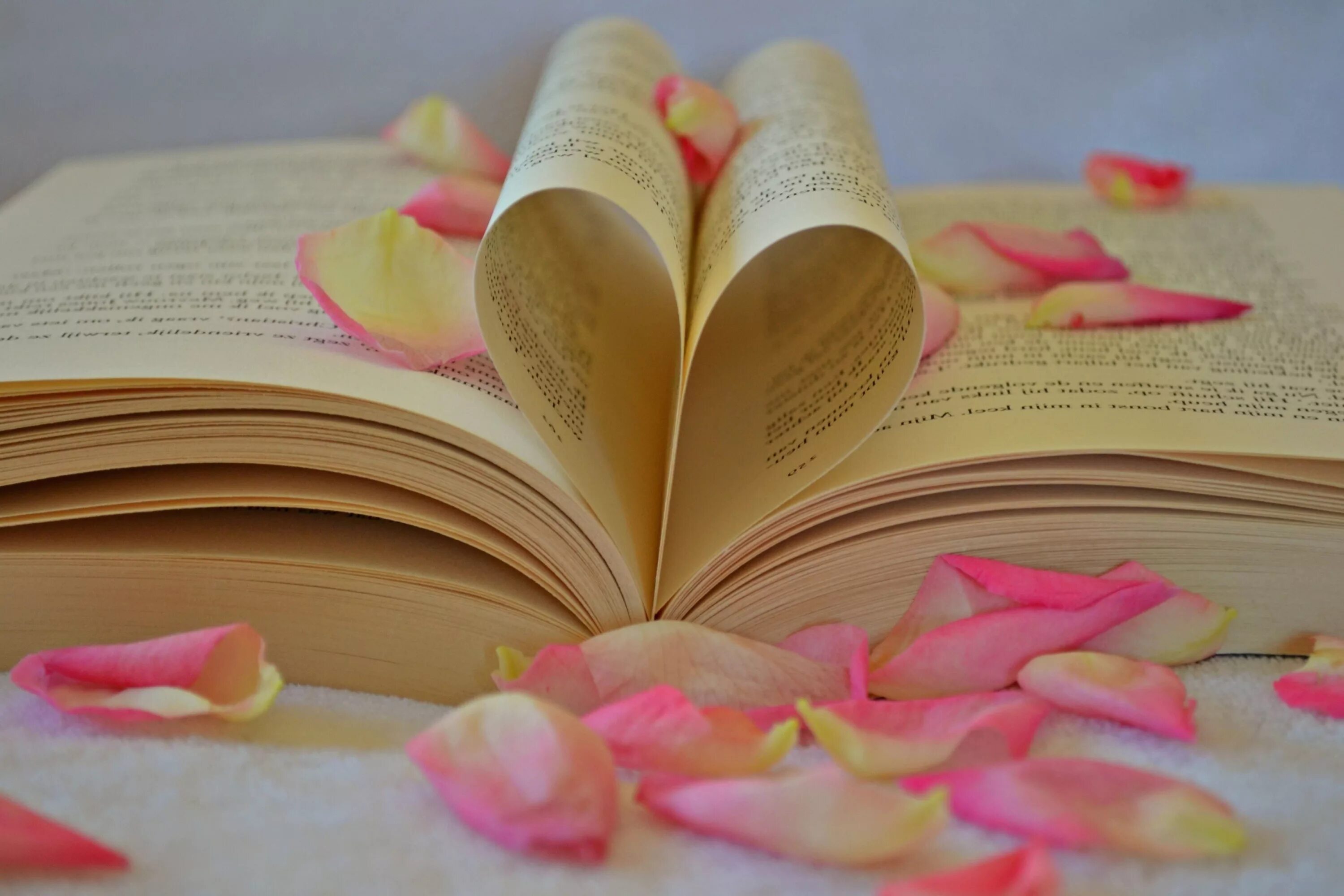Люби книгу картинки
