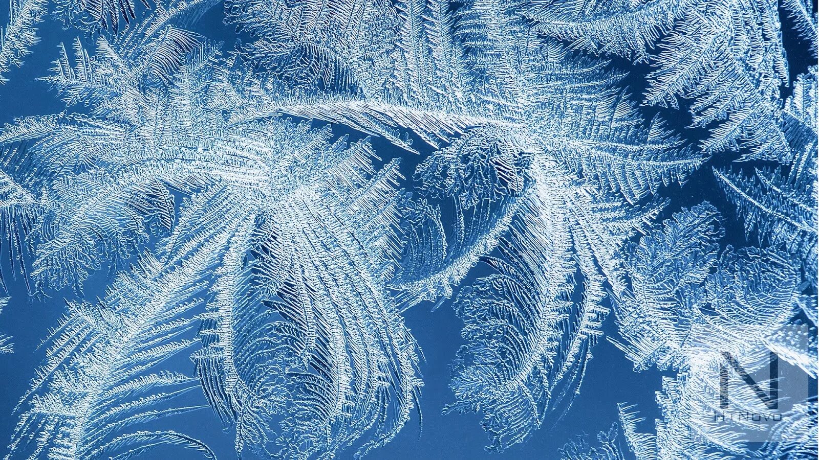 Бальмонт морозные узоры. Красивые снежные узоры. Фон снежинки. Красивые зимние узоры. Красивые снежные узоры.