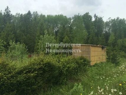 Форносово ленинградская область