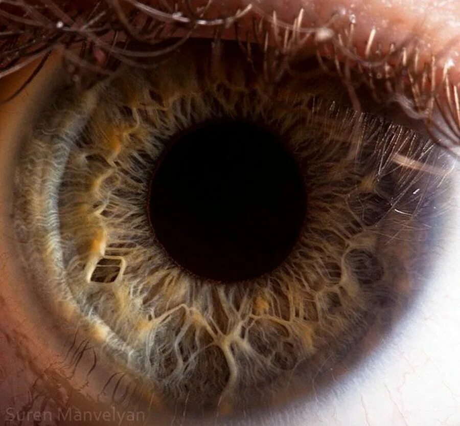 Глаза громадные как. Сурен Манвелян глаза. Сурен Манвелян глаза человека. Макросъемка глаза. Красивые Радужки глаз.