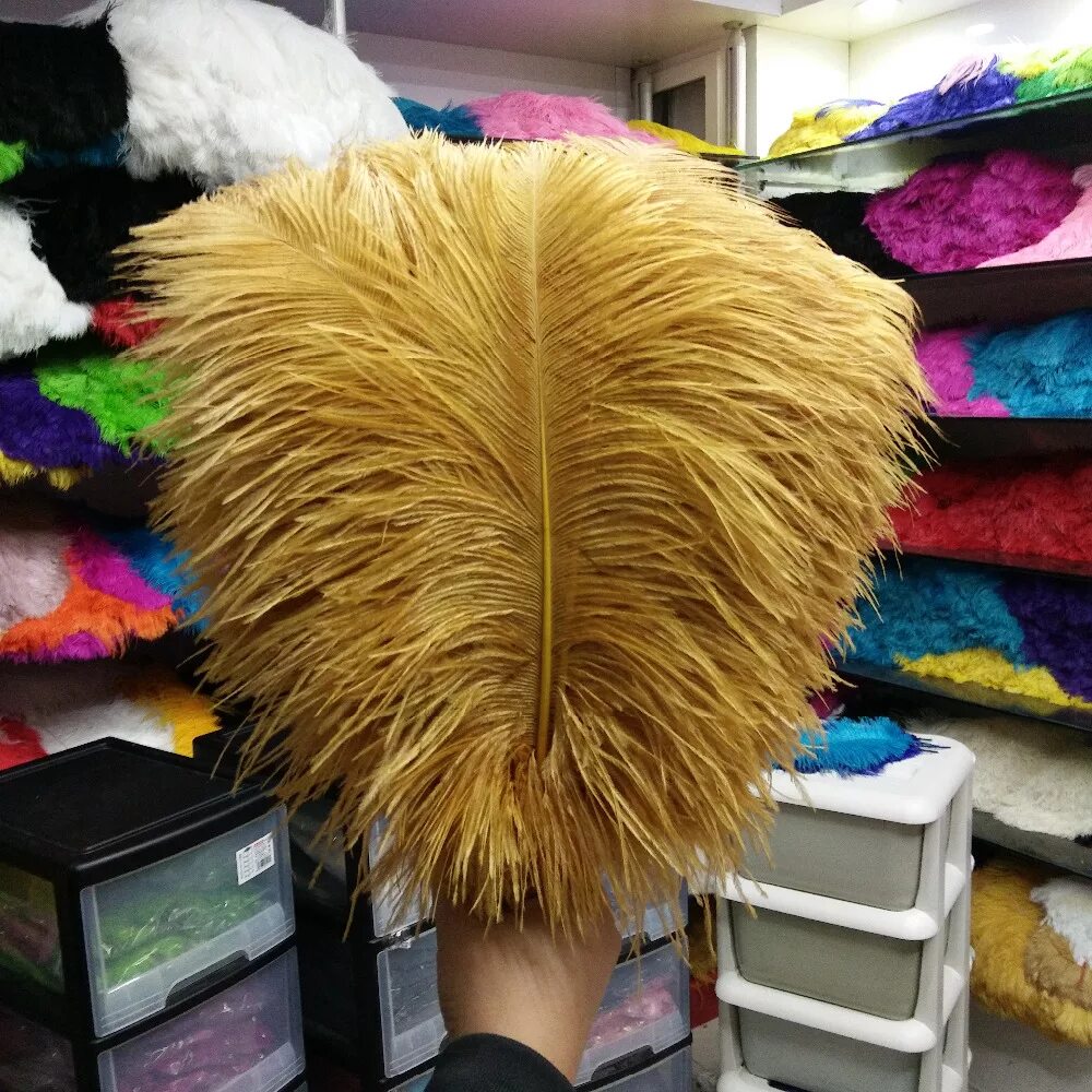 Огромное перо хср. Страусиное перо. Изделия из страусиных перьев. Перо страуса золотое. Большие перья.